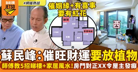 蘇民峯2024風水佈局